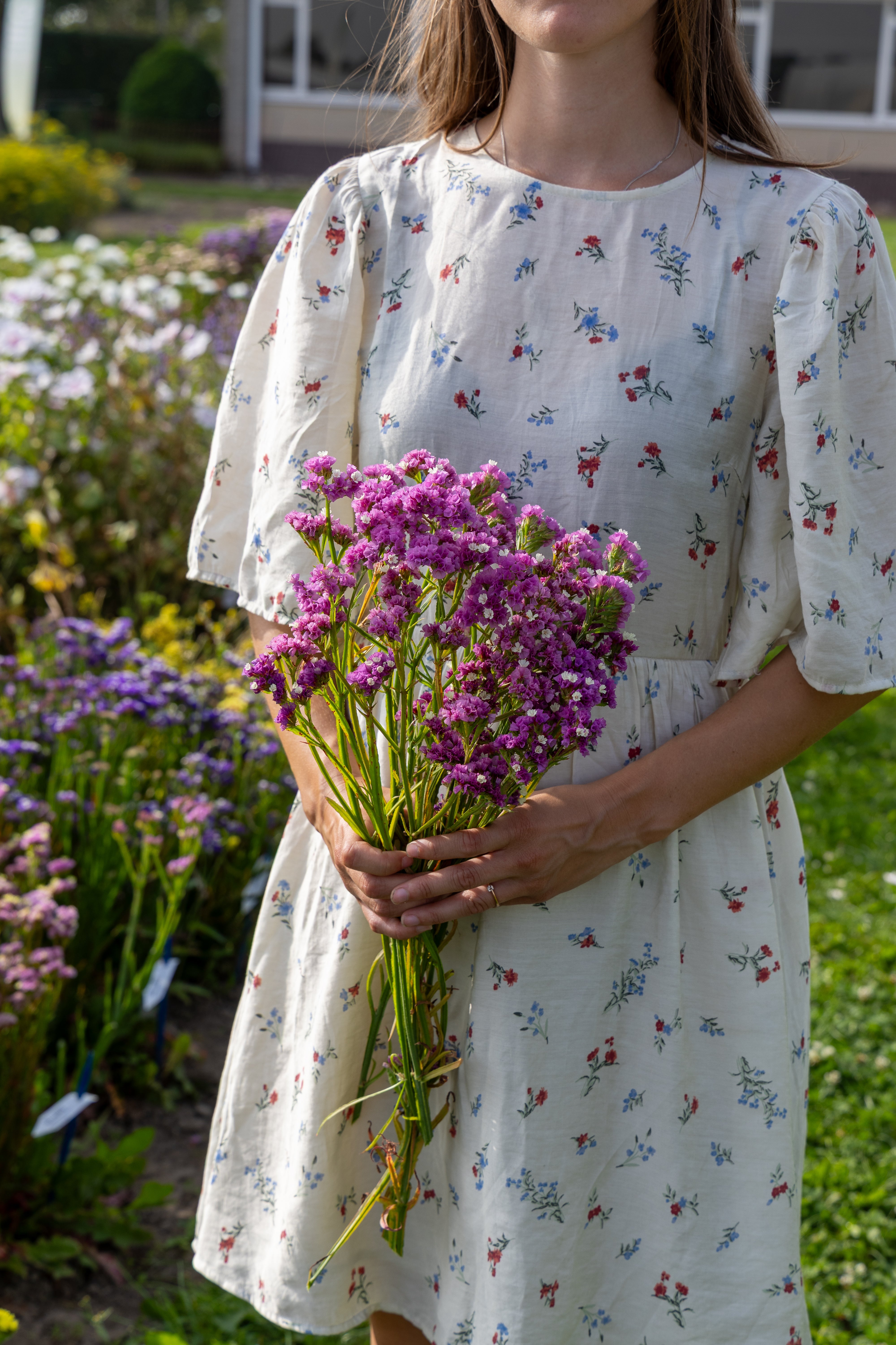 Blomsterfrø